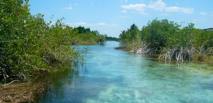 Tour Privado Discovery Full 4