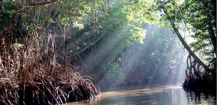 Tour Privado Discovery Full 5