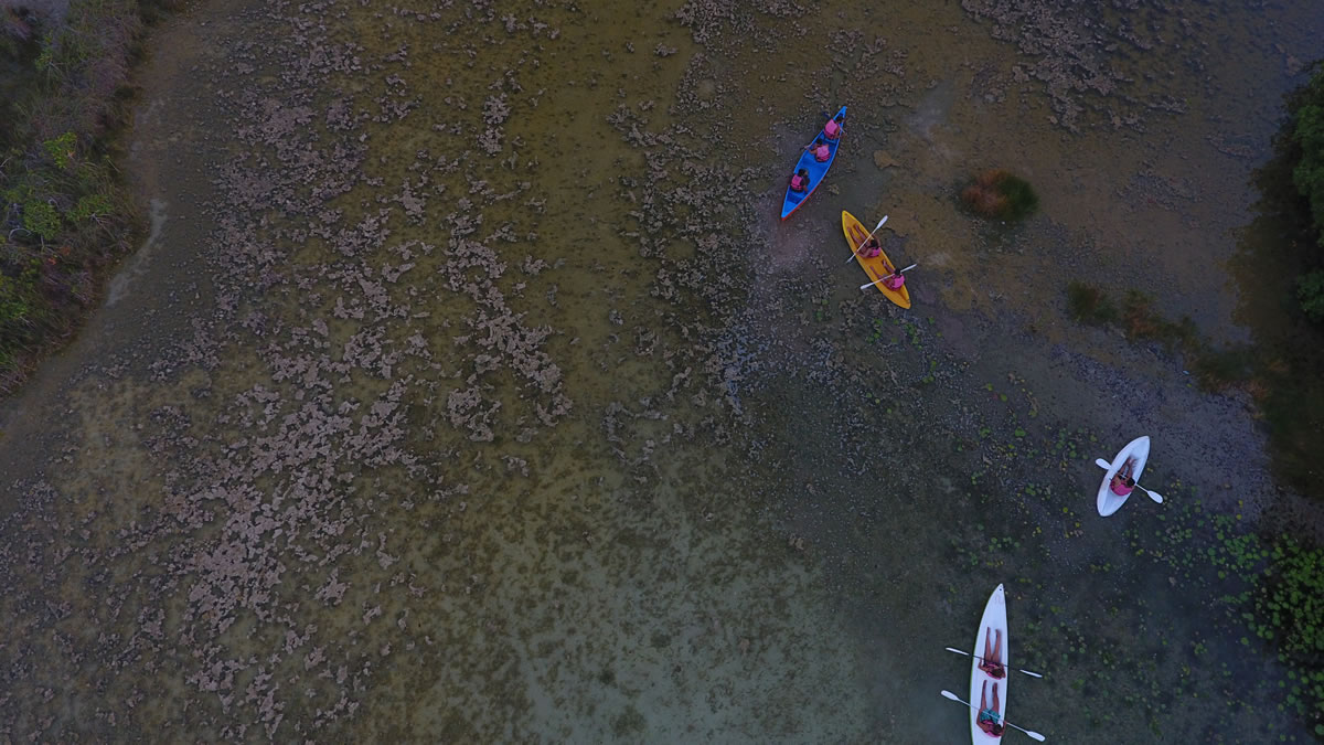 Tour atardecer kayaks 1